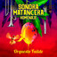 Antes que tu - Sonora Matancera con Celio Gonzalez