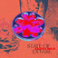 Drum Extase
