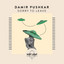 Damir Pushkar - Sorry To Leave