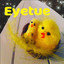 Eyetue cover