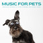 Music For Pets: Soothing Sounds Of River Streams For Sleepy Dogs cover