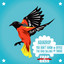 You Don't Know (The Bird Calling)