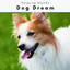 Dog Dream cover