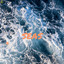 Seas cover