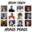 Like the Story Goes - Brian Irwin
