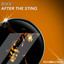 After The Sting - Extended Mix