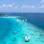 PIZZA NOVA - BLUE JAYS