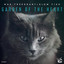 Garden Of The Heart - Extended Mix