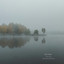 James Michael Stevens - 06 Gray Dawn