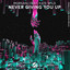 Never Giving You Up - Extended Mix