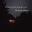 Adrian Crowley - She Brings Oblivion