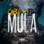 Mula artwork
