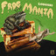 Frog Mania artwork