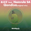 Qondisa feat. Nomvula SA