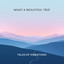 What a Beautiful Trip - Tales of Vibrations