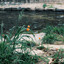 Tariro & JANE | Fakazahub.com - Thinking About | www.fakazahub.com