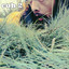 Cuh 2 cover