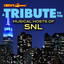 A Tribute to the Musical Hosts of Snl cover