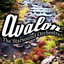 Avalon cover