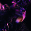 Her heart is my home now (The Magician Remix) Planningtorock