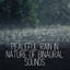 Peaceful Rain in Nature of Binaural Sounds cover