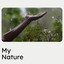 My Nature cover