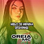 Melo de menina bravinha - Remix cover