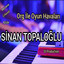Mevlana Oyun Havası cover
