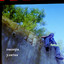 Улитка cover