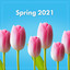 Spring 2021 cover