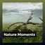 Nature Moments cover