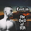 Chris Flores CI EFFE profile