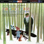 Prokofiev: Peter and the Wolf - Britten: The Young Person's Guide to the Orchestra cover