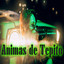 Animas de Tepito cover