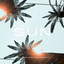 Sasha Lopez, Diotic, Tobi Ibitoye - Sun