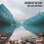 Nature Sounds: Rainy Day by the Lake cover