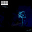 Goodbye cover