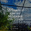50 Sounds of Rain and Nature and Rain Sounds cover