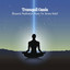 Tranquil Oasis: Binaural Meditation Music for Stress Relief cover