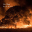 Fire Music: Burn it All Vol. 2 cover