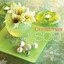 Christmas Spa cover