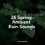 25 Spring Ambient Rain Sounds cover