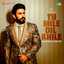 Tu Mile Dil Khile cover