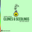 Clone Rooting Stimulant 285 Hz cover