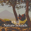 Chill Nature Sounds cover