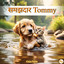 Samajhdaar Tommy cover