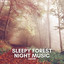 Nature: Sleepy Forest Night Music cover
