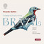 Suite populaire brésilienne, W020: II. Schottish-Chôro cover
