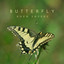 Butterfly - Koen Snyers