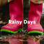 Rainy Days cover